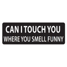 Helmet Sticker 'CAN I TOUCH YOU WHERE YOU SMELL FUNNY?'