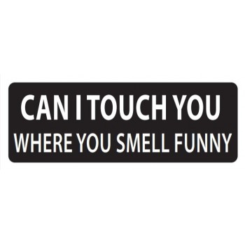 Helmet Sticker 'CAN I TOUCH YOU WHERE YOU SMELL FUNNY?'