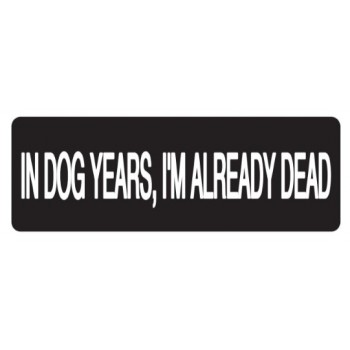 Helmet Sticker 'IN DOG YEARS, I'M ALREADY DEAD' 