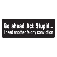 Helmet Sticker 'GO AHEAD ACT STUPID...I NEED ANOTHER FELONY CONVICTION' 