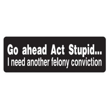 Helmet Sticker 'GO AHEAD ACT STUPID...I NEED ANOTHER FELONY CONVICTION' 