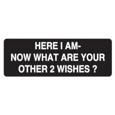 Helmet Sticker 'HERE I AM-NOW WHAT ARE YOUR OTHER 2 WISHES?' 