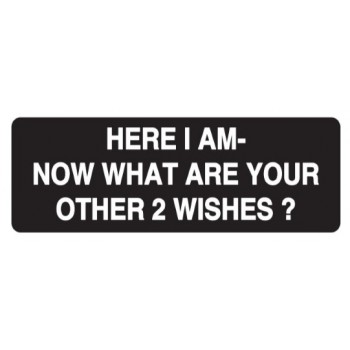 Helmet Sticker 'HERE I AM-NOW WHAT ARE YOUR OTHER 2 WISHES?' 
