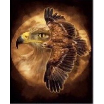 Animal Design Eagles Tee